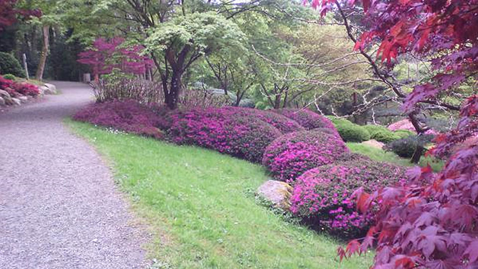 Les jardins zen japonais et l'art du Wabi-Sabi – Shogun Japon